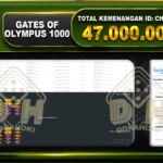 Gates Of Olympus 1000 47.000.000