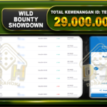 Wild Bounty Showdown 29.000.000