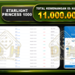 Starlight Princess 1000 11.000.000